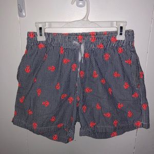Chubbies Seersucker Swim Trunks 5.5” Inseam